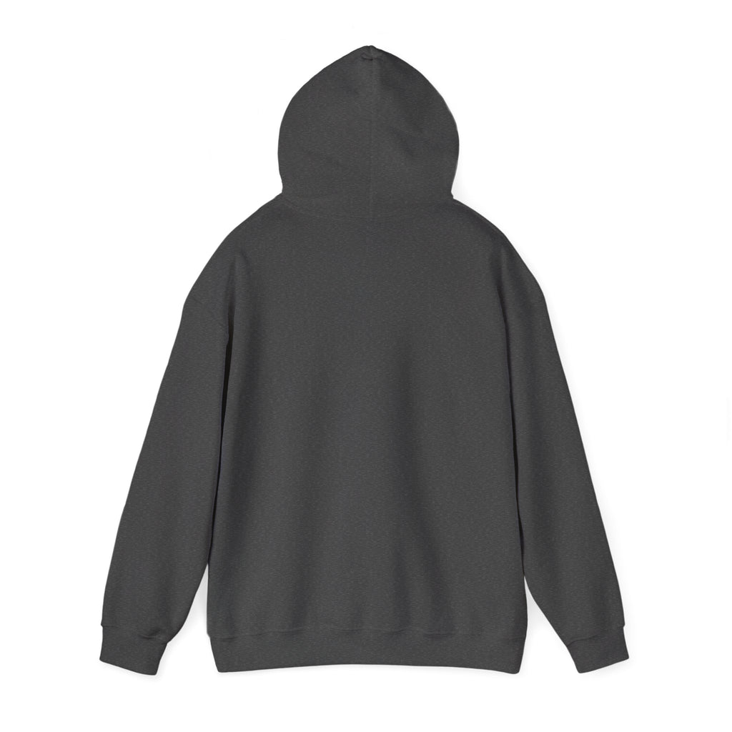 Mencity MMA Hoodie — Urban Pullover