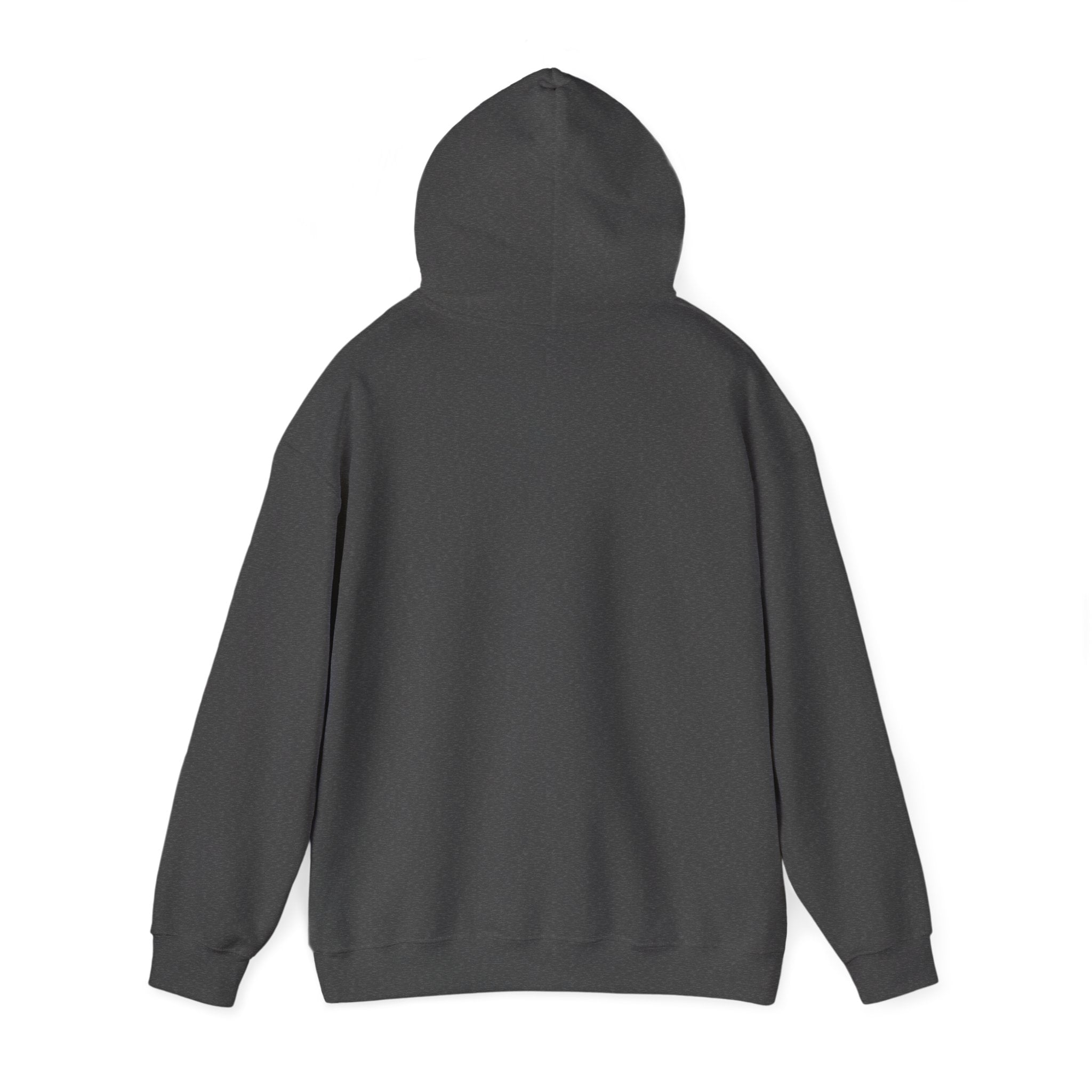 Mencity MMA Hoodie — Urban Pullover