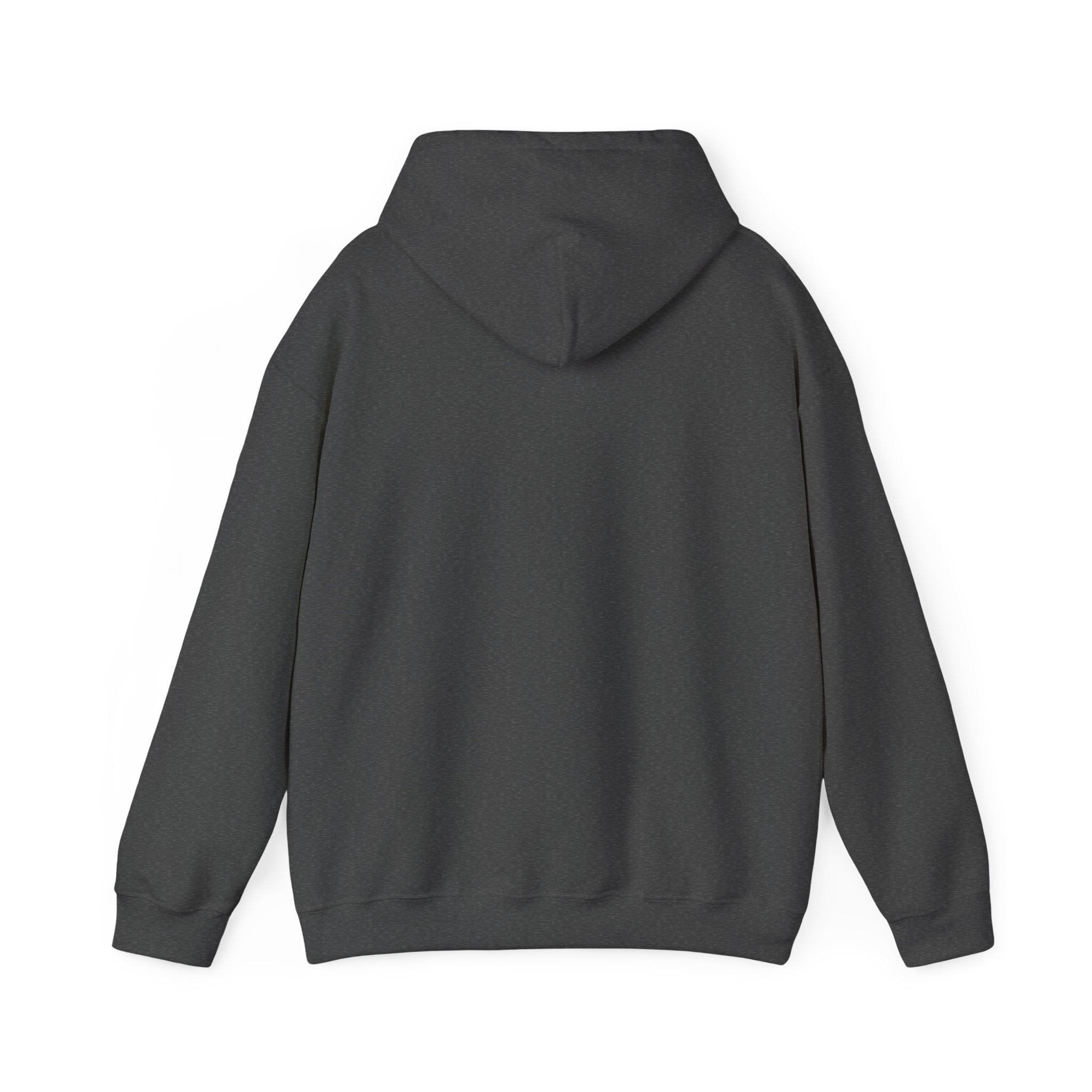 Mencity MMA Hoodie — Urban Pullover
