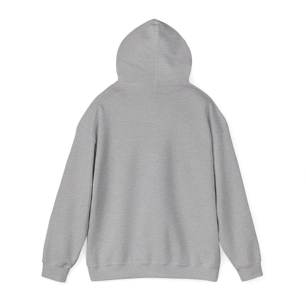 Mencity MMA Hoodie — Urban Pullover