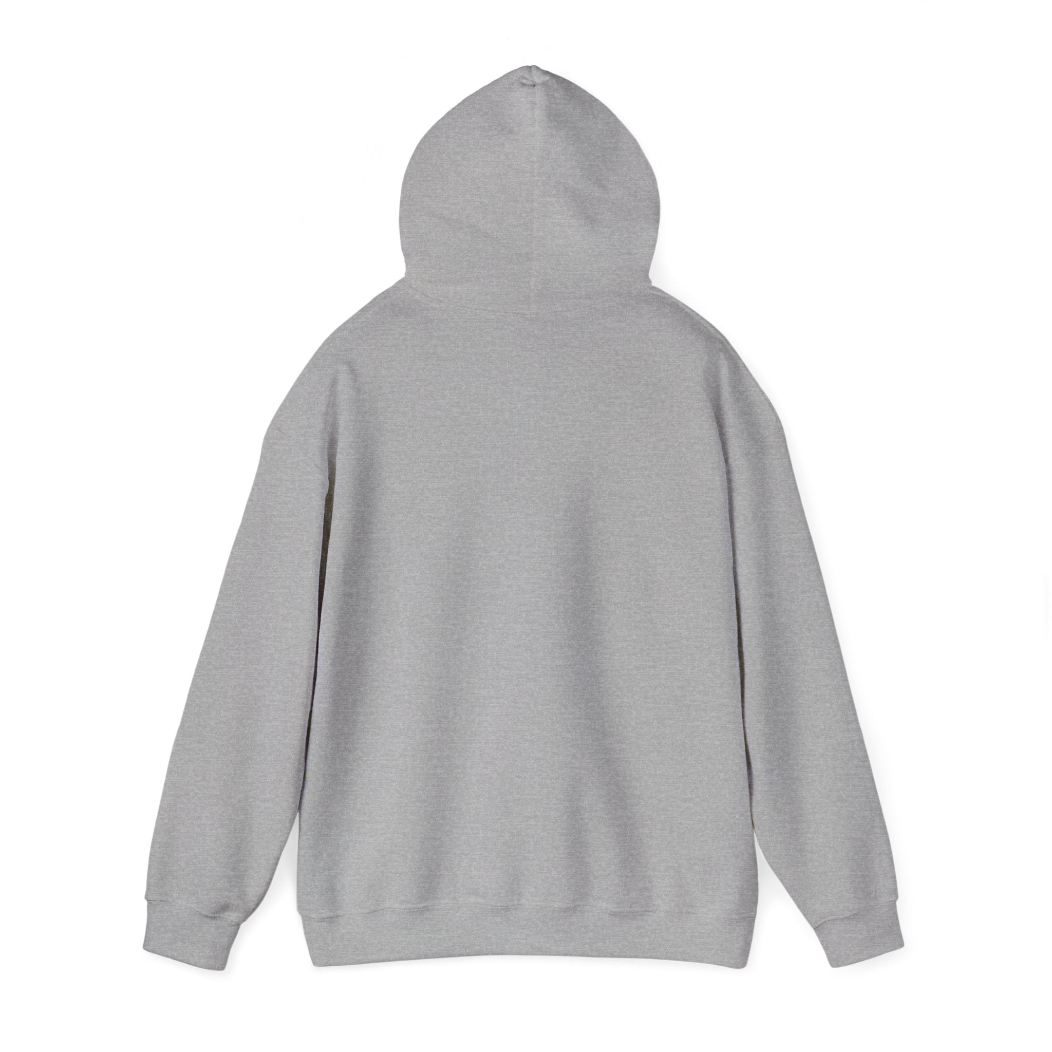 Mencity MMA Hoodie — Urban Pullover