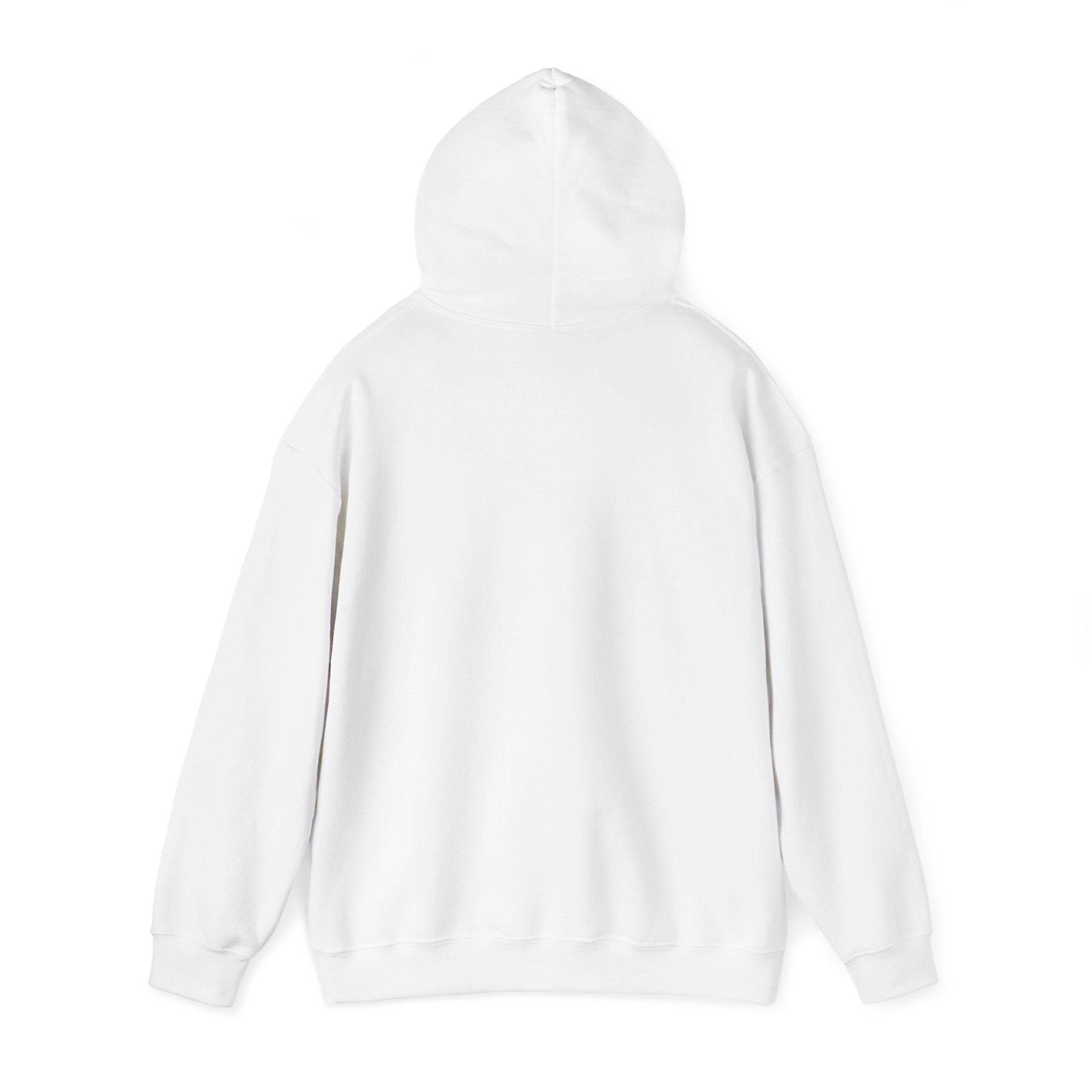 Mencity MMA Hoodie — Urban Pullover
